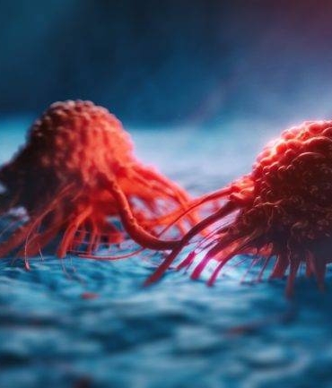 1673519761_kanser-768x433