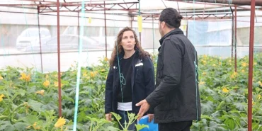 buyuksehir-den-hortum-ve-firtinadan-zarar-goren-ureticiye-sera-naylonu-destegi-3656