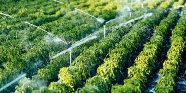 dap-bolge-kalkinma-idaresi-12-yilda-2-bin-86-projeye-destek-verdi