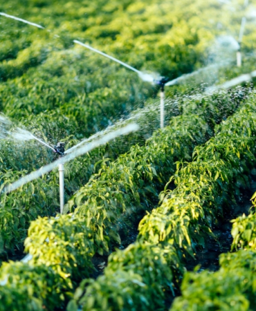 dap-bolge-kalkinma-idaresi-12-yilda-2-bin-86-projeye-destek-verdi