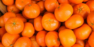 mandalinada-tum-zamanlarin-ihracat-rekoru-kirildi