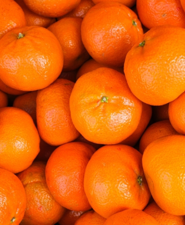 mandalinada-tum-zamanlarin-ihracat-rekoru-kirildi