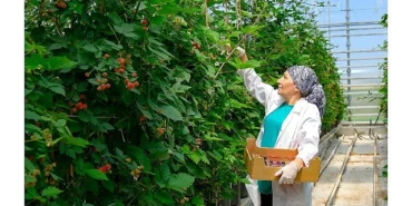 seralarda-sel-felaketine-elara-tarim-dan-direncli-cozum-5181