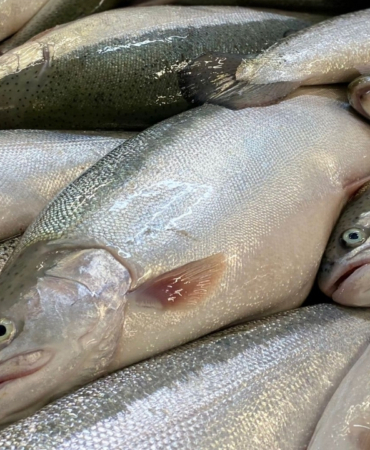 turk-somonu-dunya-pazarinda-buyuyor-hedef-milyar-dolar