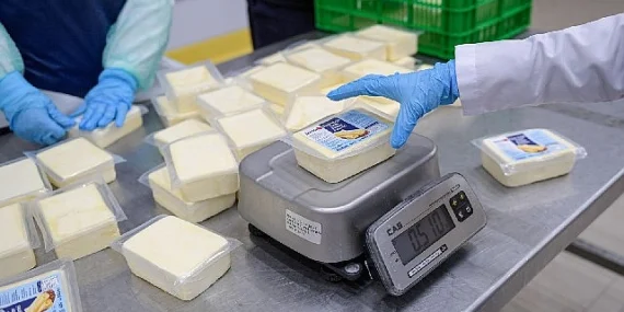 İzmir Büyükşehir’den peynir hamlesi