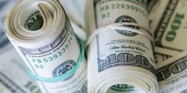 merkez-bankasi-ndan-dolar-karari