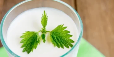 ramazan-da-susuz-kalmayin-sut-ve-ayran-hidrasyonun-gizli-kahramanlari-1771592252-69_large