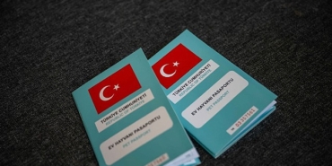 bornovada-kirsalda-sahiplendirme-seferberligi