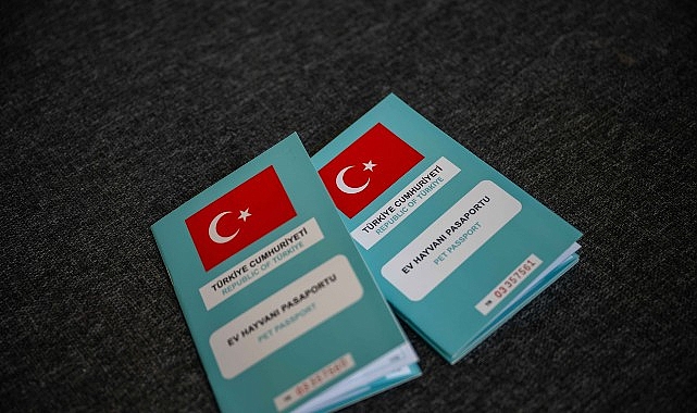 bornovada-kirsalda-sahiplendirme-seferberligi